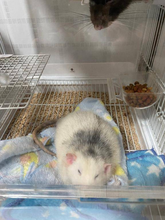 もう少しお待ちください??♂?