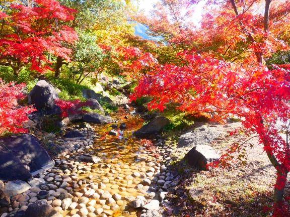 今日はお休みです?