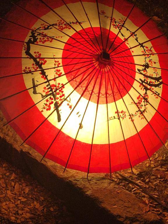 みらい☆スレンダー美BODY(ジャックと豆の木)