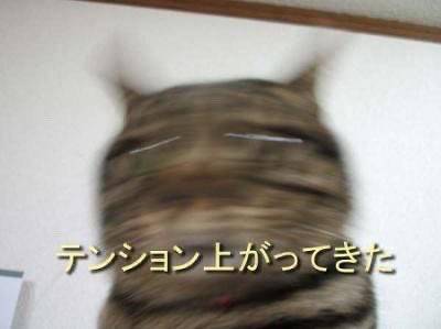 17時から出勤します?