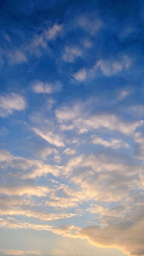 おはようございます??