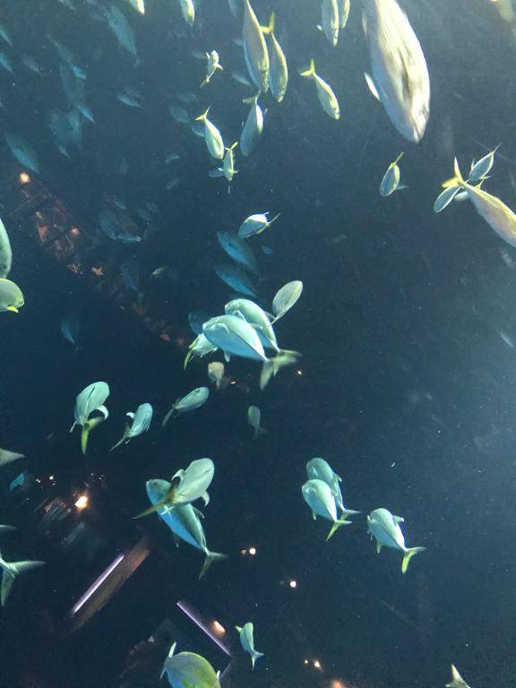 [お題]from:焼肉！さん