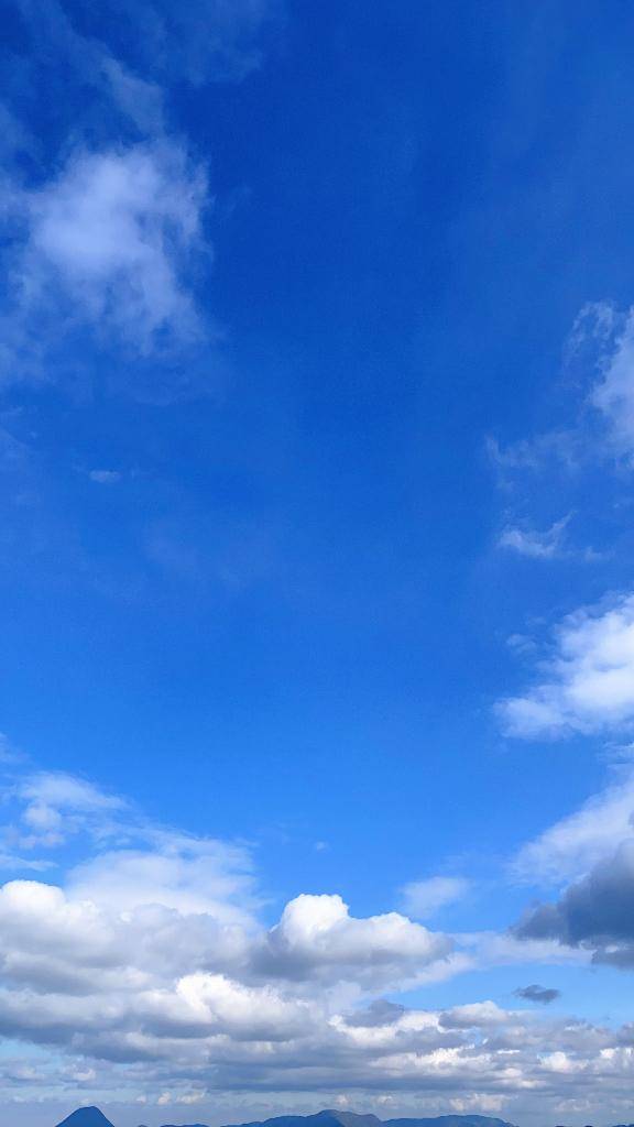 おはようございます