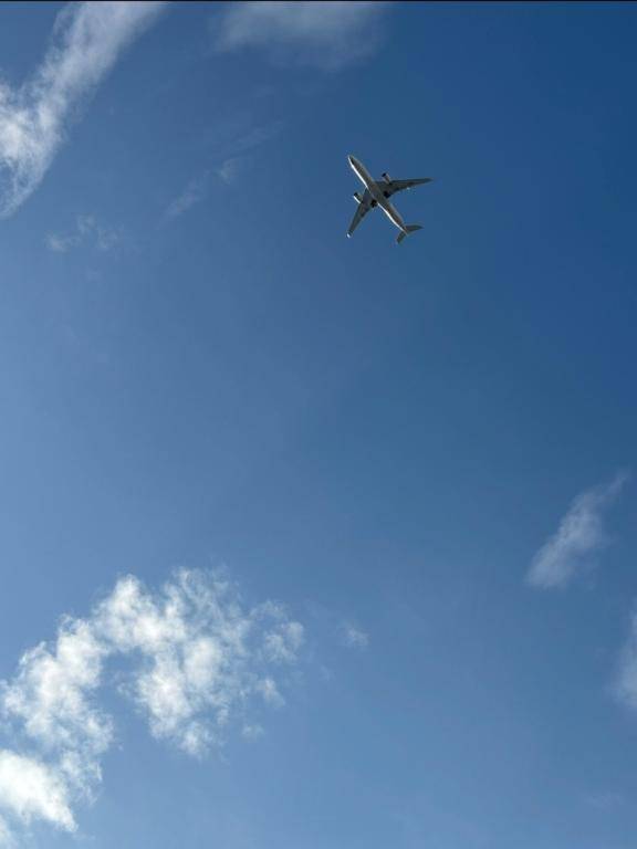 今日はお休みです＼(^o^)／