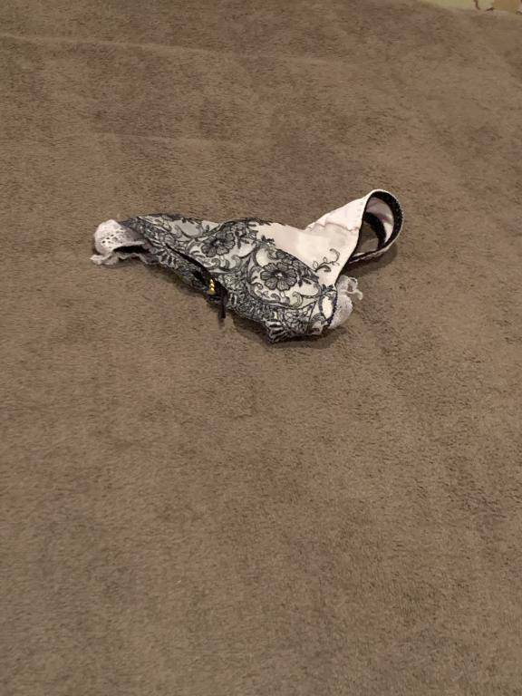 お家でご飯食べてきた(^∪^/?)