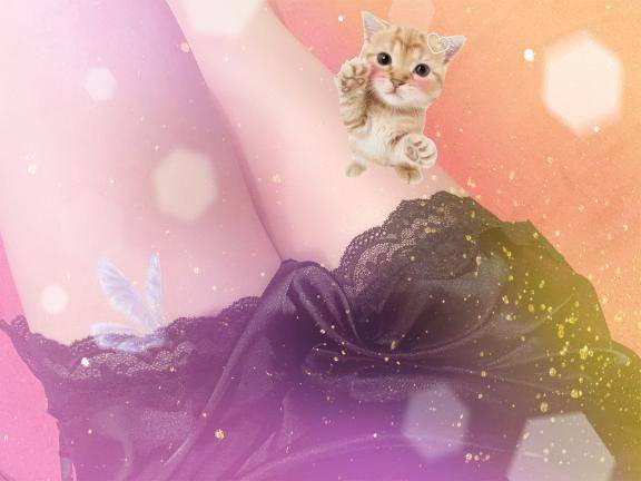 おはようございます?