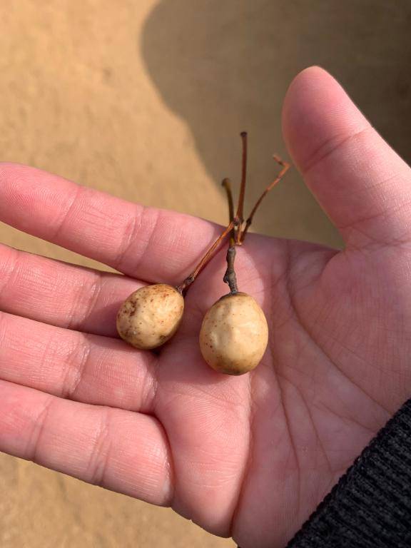 1本も書いてなかった…