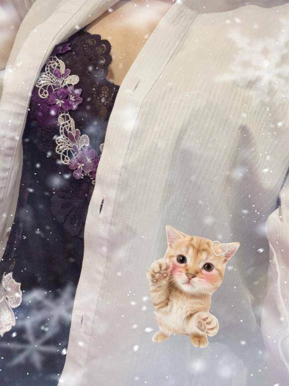 [お題]from:ピカタさん