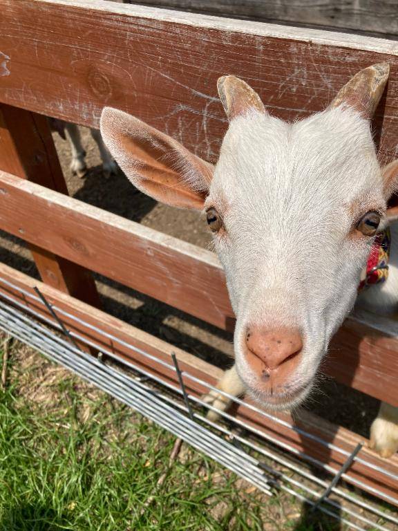 草食‥‥？それとも‥‥？