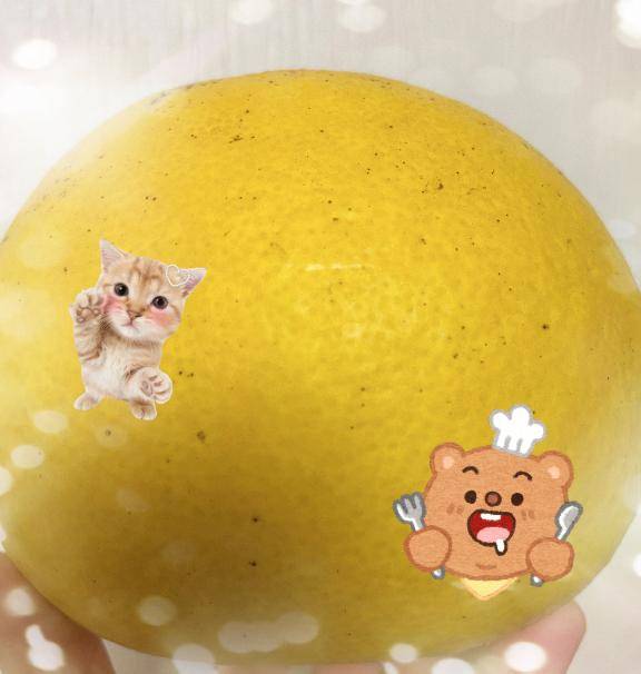 [お題]from:二択だよ♪さん