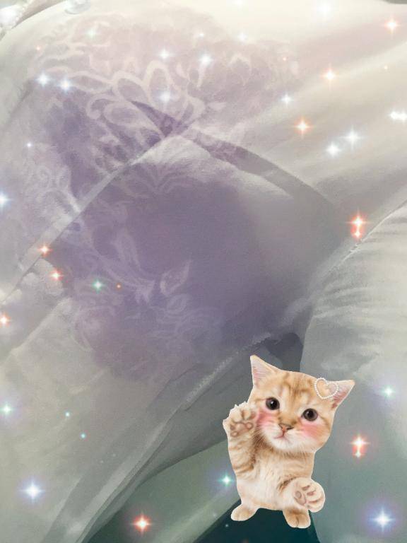 [お題]from:パインさん