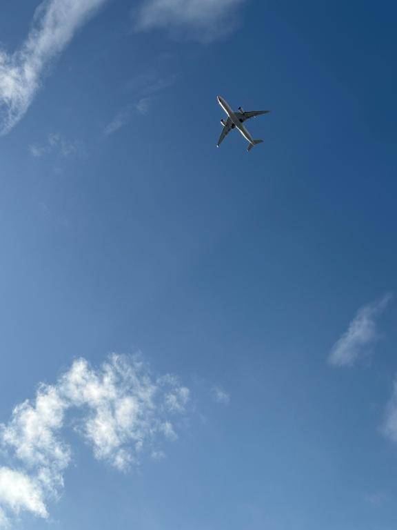 おはようございます?｡°