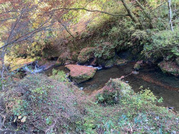 モーニングルーティン??????