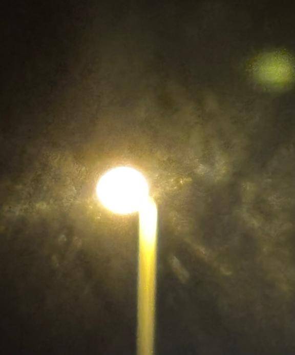 今日もお疲れ様??