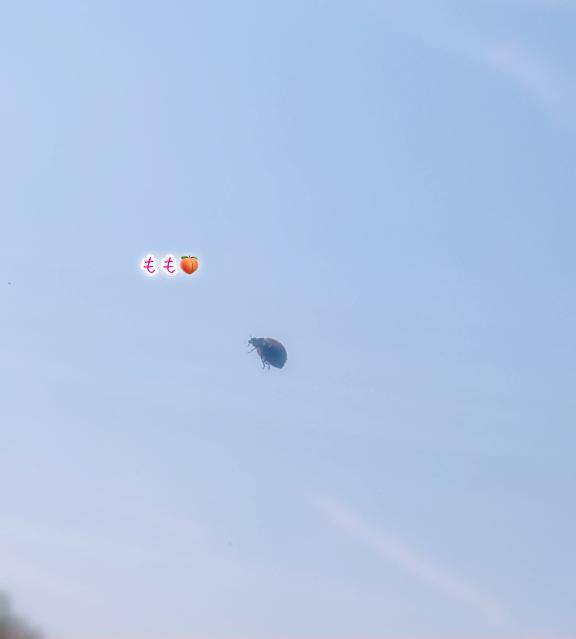 元気もりもり????????