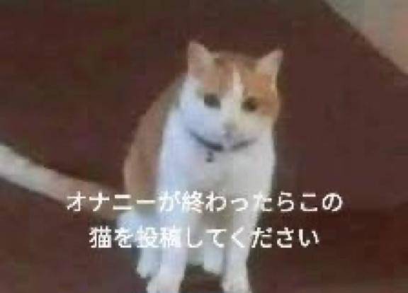 人生の理想は腹八分目?? ? ?