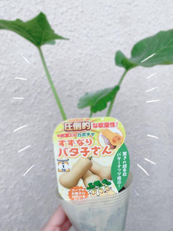 あとあと！