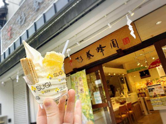 金比羅山観光ちゅ?