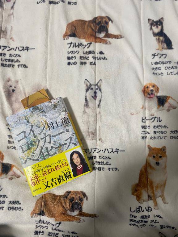 しまむらで買ったイヌ敷パット?