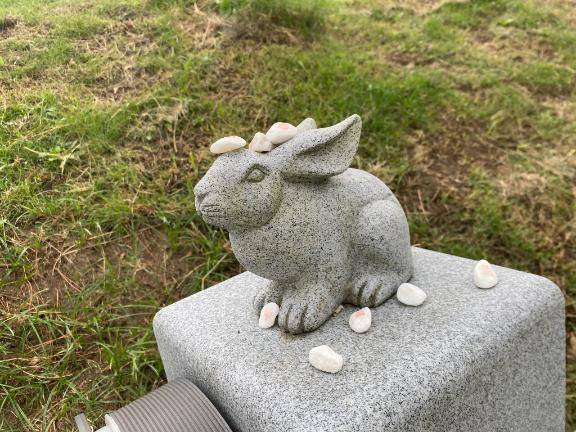 雨模様?