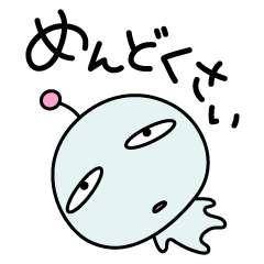 今日の注文