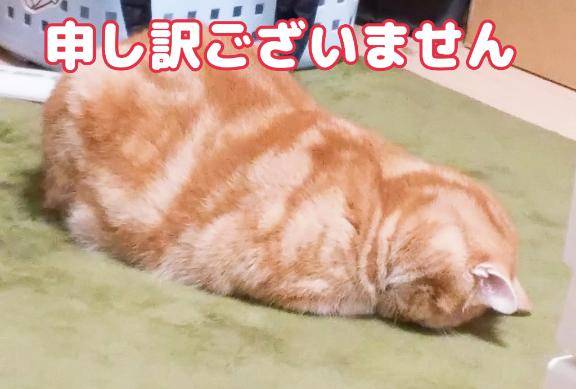 謝罪文　フ◯◯◯様へ