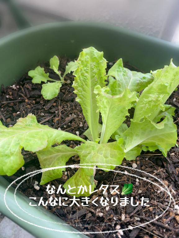 おはようございます