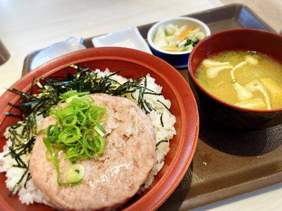 好きな牛丼はフリスビー丼です(？)