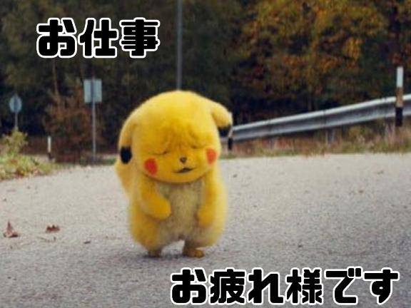 おはようございます?