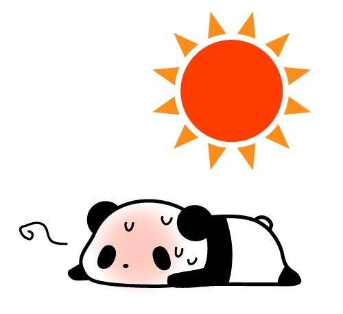 今日は??
