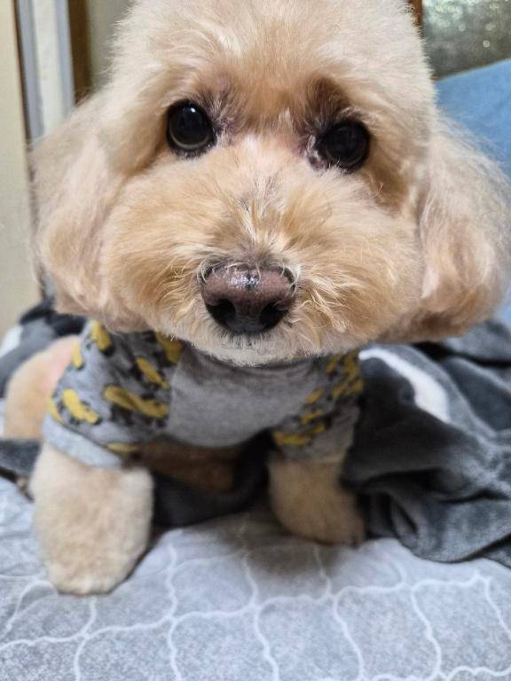 朝から