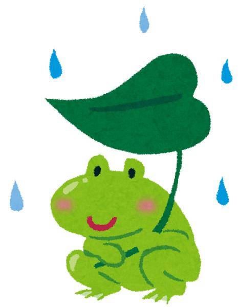雨やばい???
