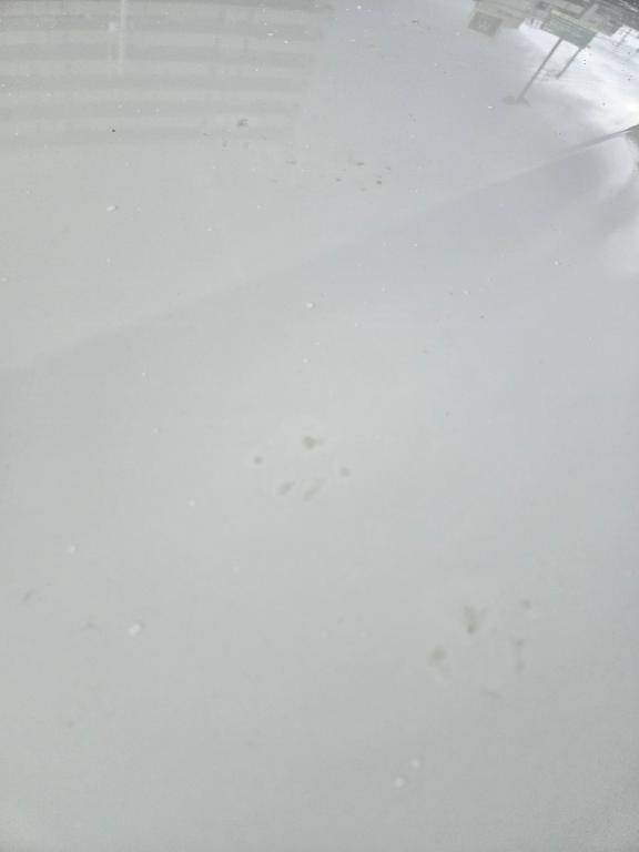 雨が欲しい理由