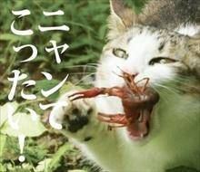 これもグッと減ってます