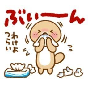 メチャクチャ遠いから