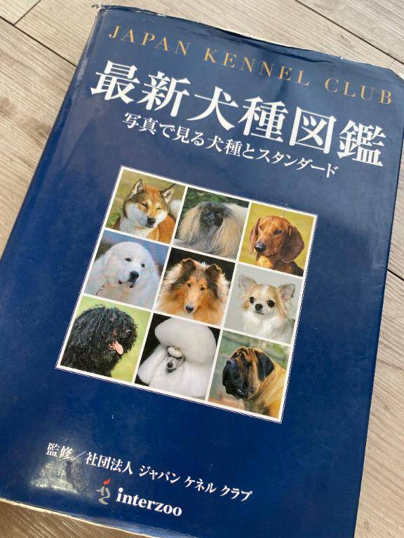 いぬ好き??