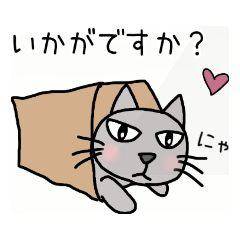 今日の晩ごはんは........