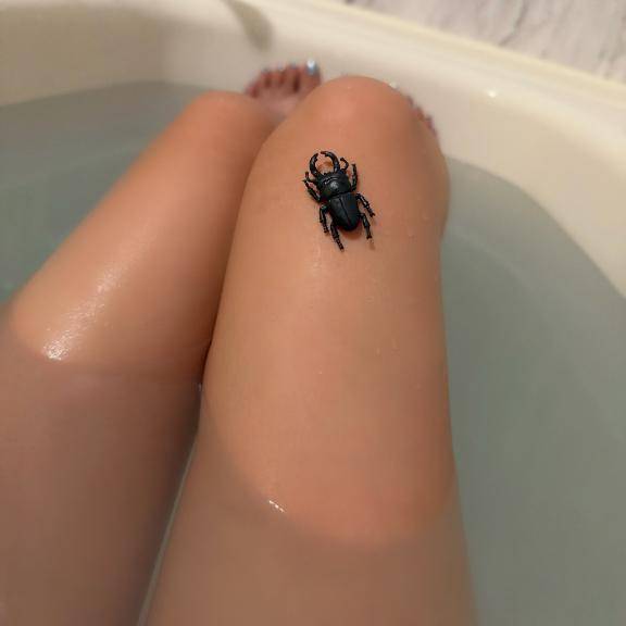 捕まえたッッ???