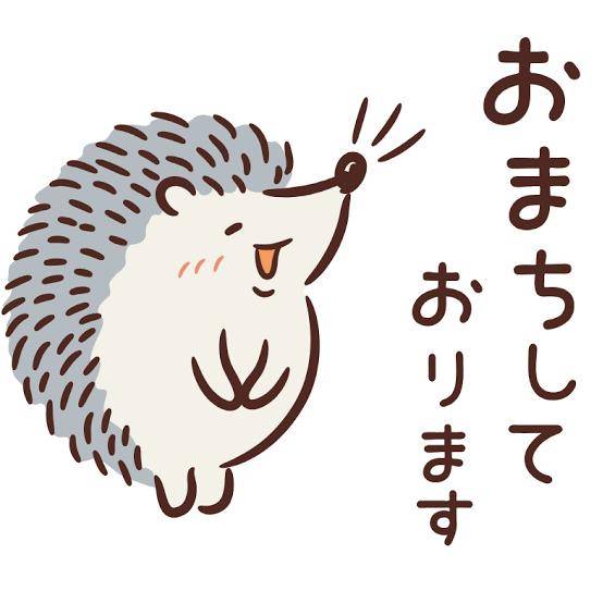 セクシーランジェリーの種類
