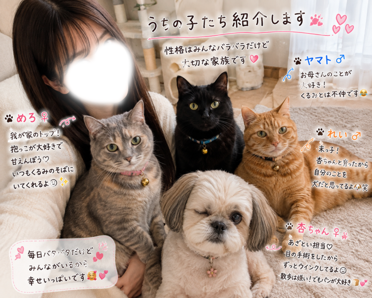 🐾個性強めな、うちの子たち🐈⸒⸒⸒⸒