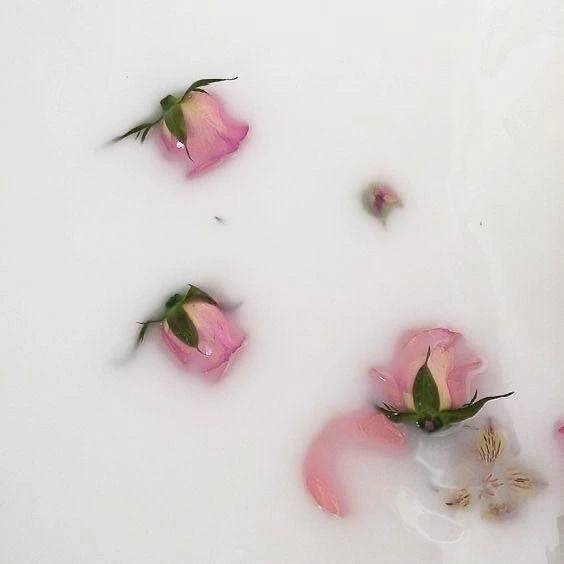 急遽⋆⸜♡⸝‍⋆