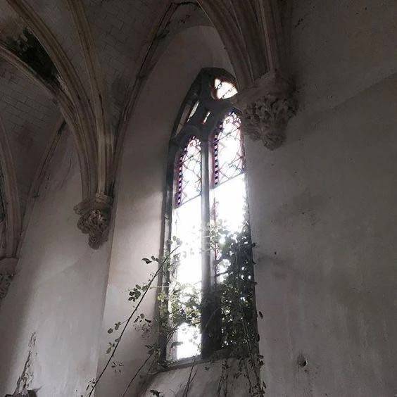 ありがとうございました🩶✩.*