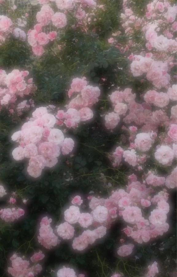 徳島ついたよ〜💖