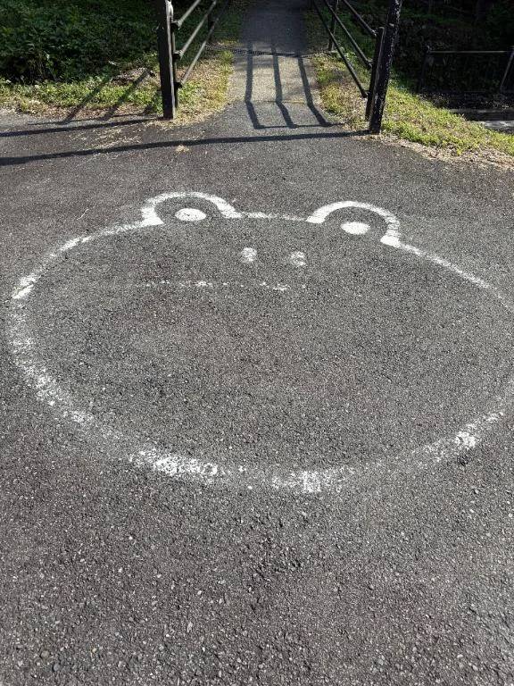 おはようございます(⋆ᴗ͈ˬᴗ͈)