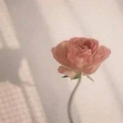 出勤します‪🍒‎🤍⟡