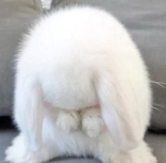 ごめんなさい🙇🏻‍♀️‪‪