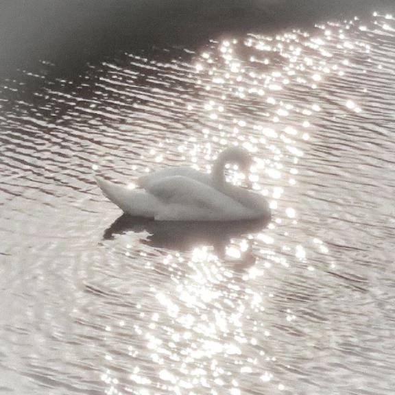 出勤しました✩࿐