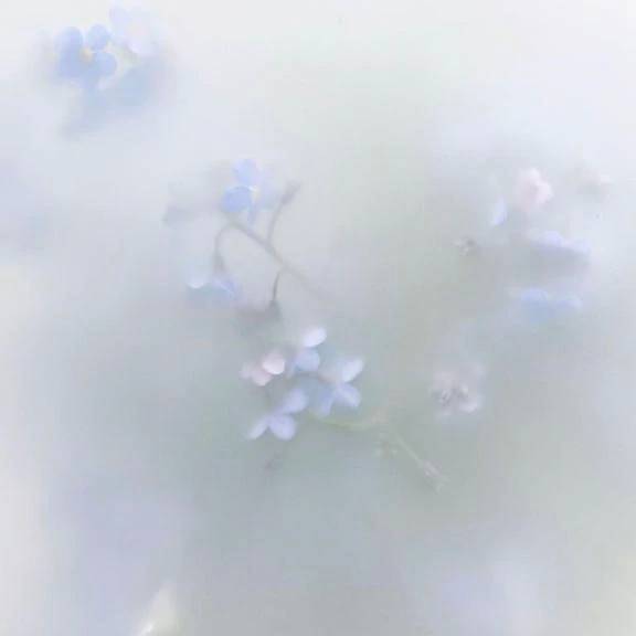 今日もありがとうございました🌷