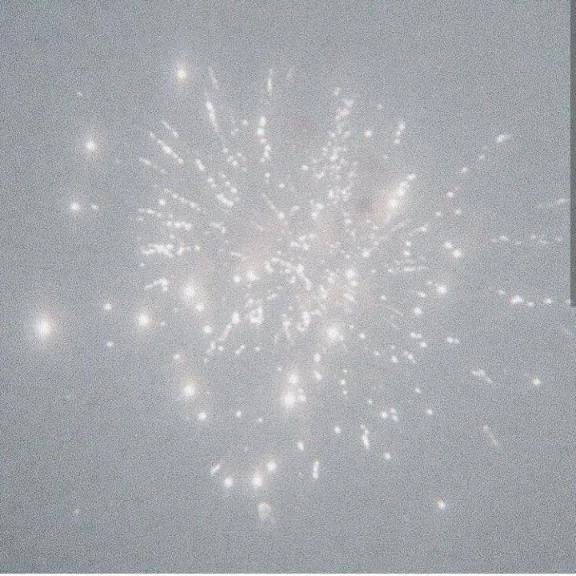 ありがとうございました🌸