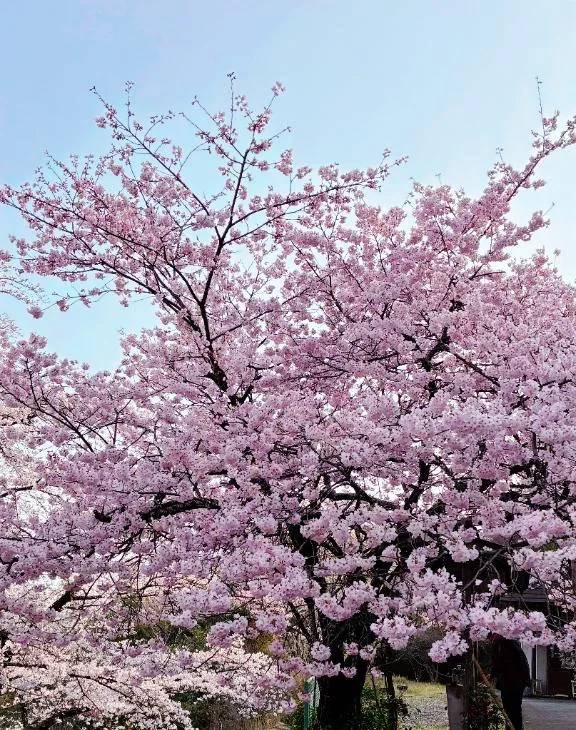 退勤しました😌✨